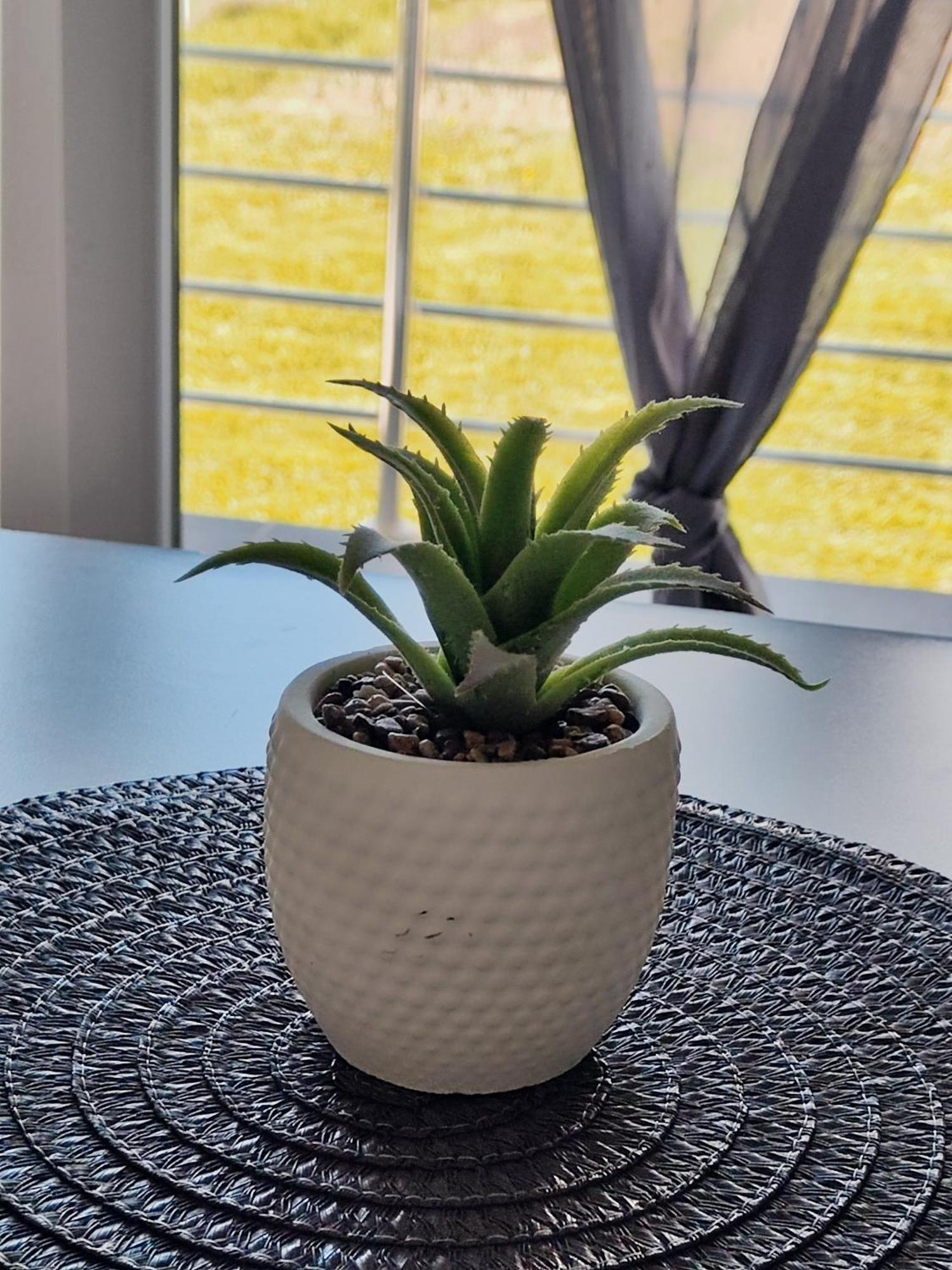 Apartman Marija Perusic Buitenkant foto